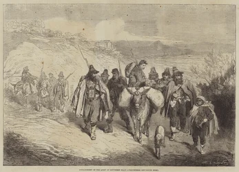 Auflösung der Armee Süditaliens, Freiwillige kehren nach Hause zurück